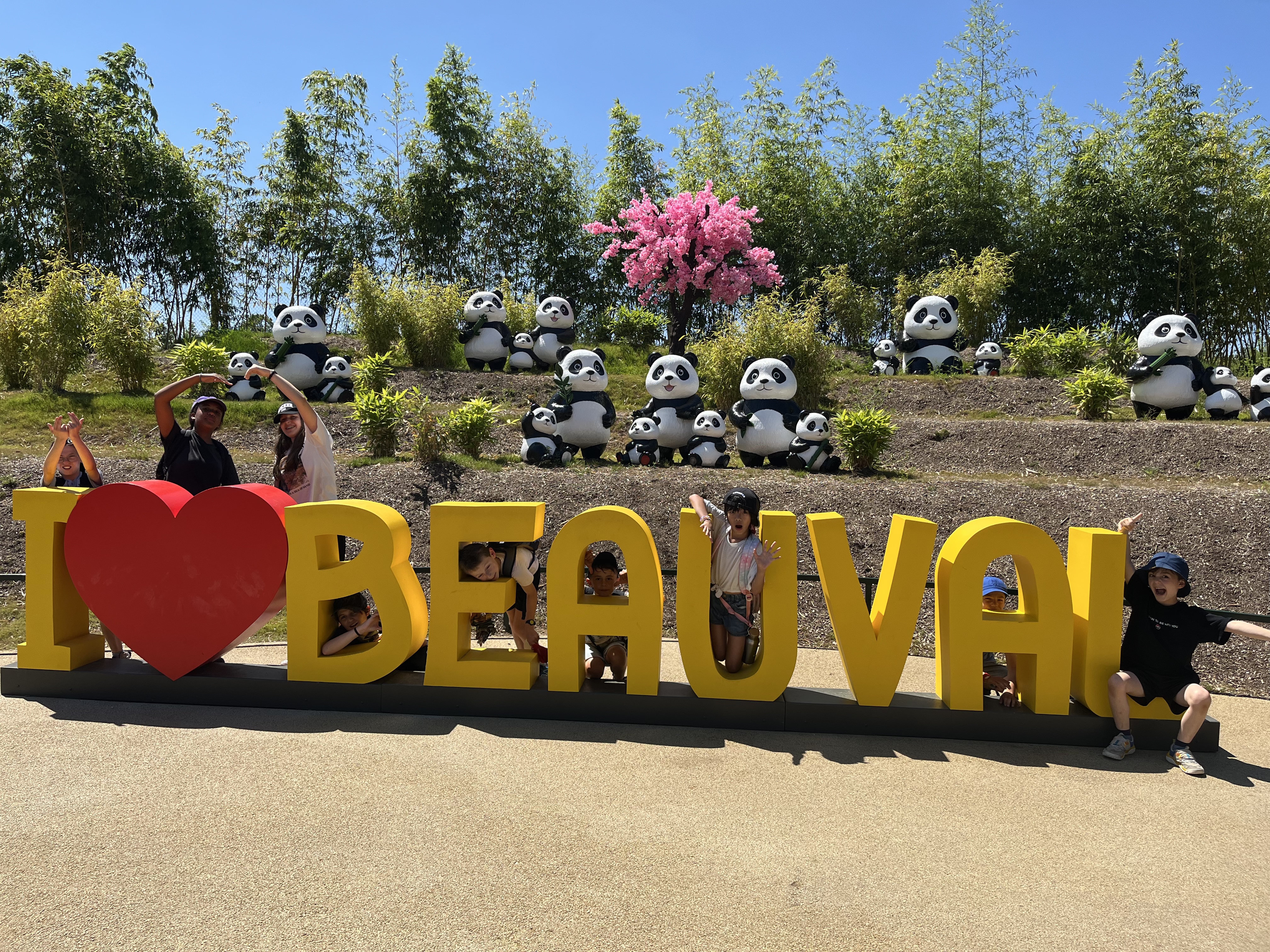 Yolo Beauval